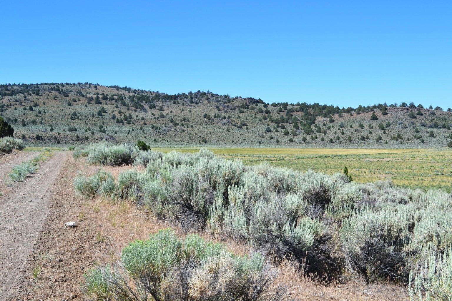 523-400 South Grasshopper Road Termo, CA 96132 - Photo 9 of 44 a view of a dry field with trees in the background