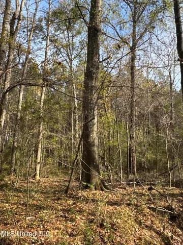 $1,472,500 | Whiddon Road, Canton, MS 39046