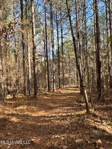 $1,472,500 | Whiddon Road, Canton, MS 39046