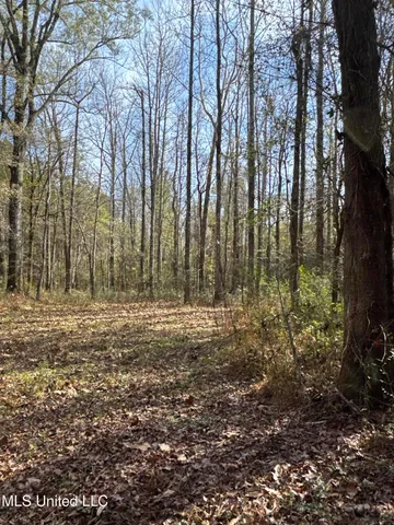 $1,472,500 | Whiddon Road, Canton, MS 39046