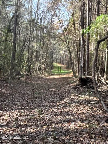 $1,472,500 | Whiddon Road, Canton, MS 39046