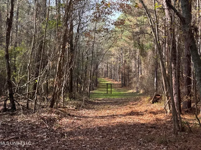 $1,472,500 | Whiddon Road, Canton, MS 39046