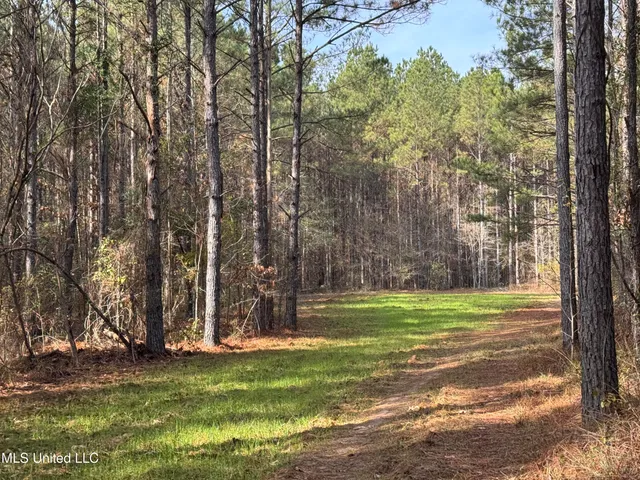$1,472,500 | Whiddon Road, Canton, MS 39046