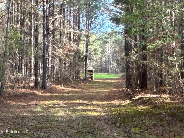 $1,472,500 | Whiddon Road, Canton, MS 39046