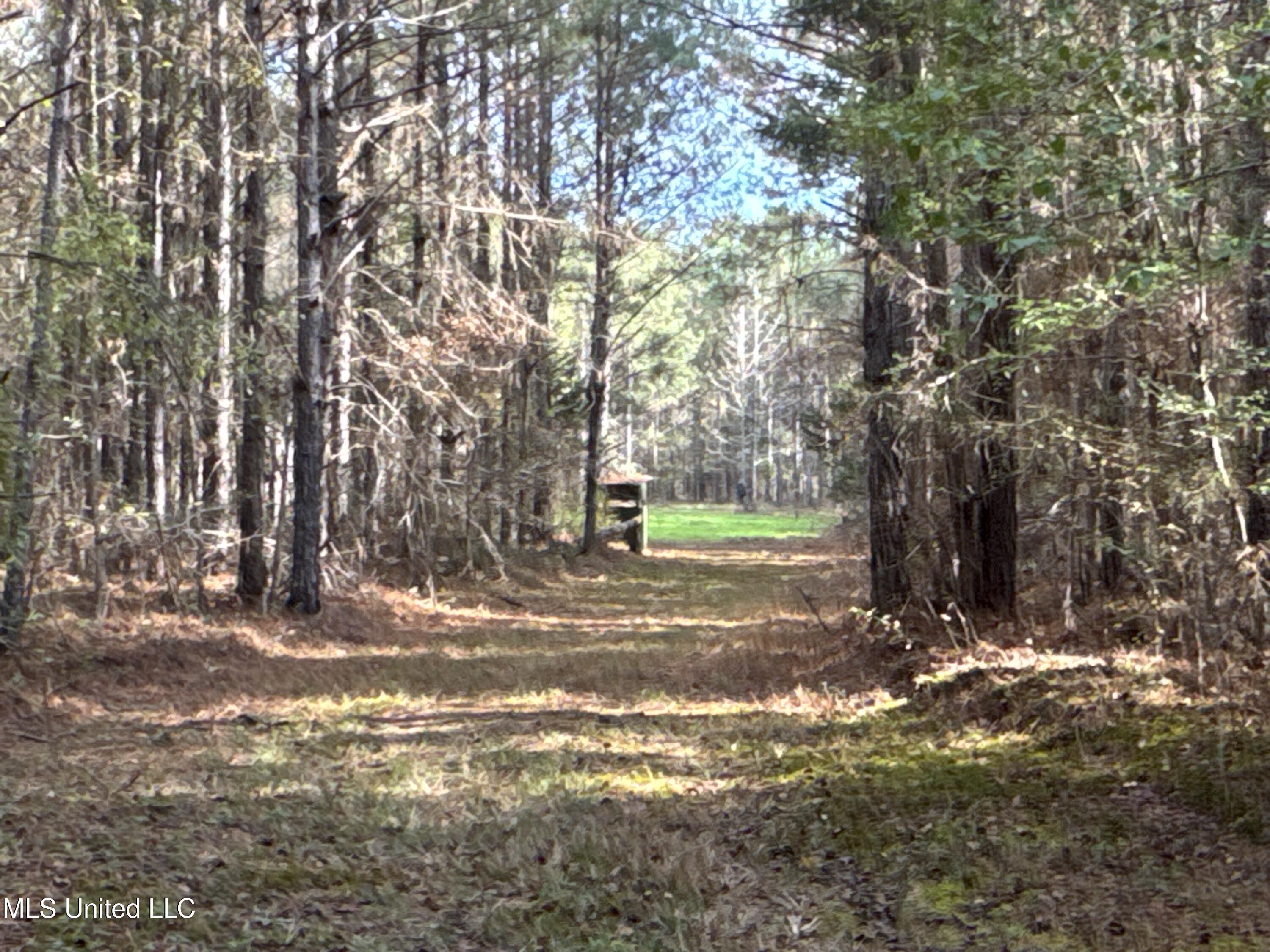 Whiddon Road Canton, MS 39046 - Photo 27 of 44 IMG_1641