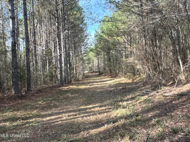 $1,472,500 | Whiddon Road, Canton, MS 39046