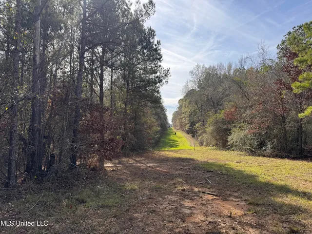 $1,472,500 | Whiddon Road, Canton, MS 39046