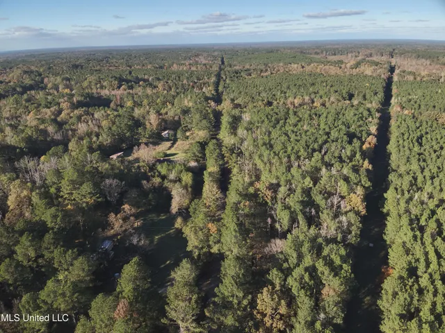 $1,472,500 | Whiddon Road, Canton, MS 39046