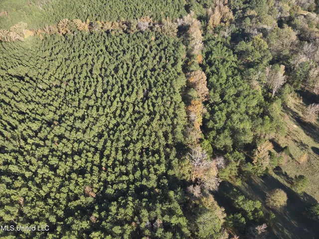 $1,472,500 | Whiddon Road, Canton, MS 39046