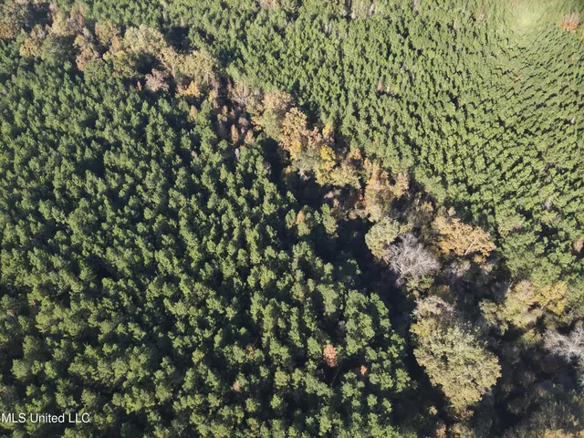 $1,472,500 | Whiddon Road, Canton, MS 39046