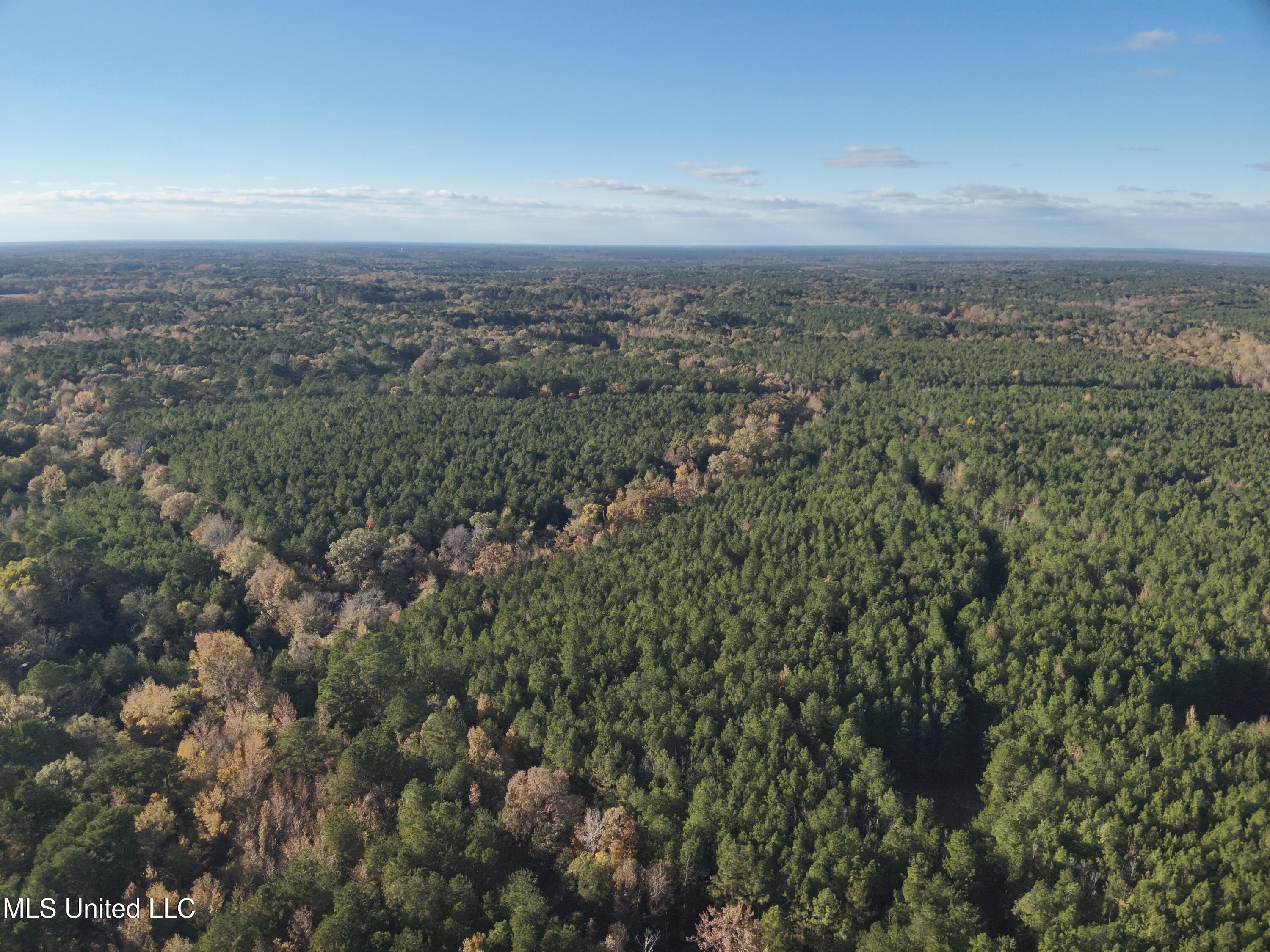 Whiddon Road Canton, MS 39046 - Photo 40 of 44 DJI_20251109152015_0013_V