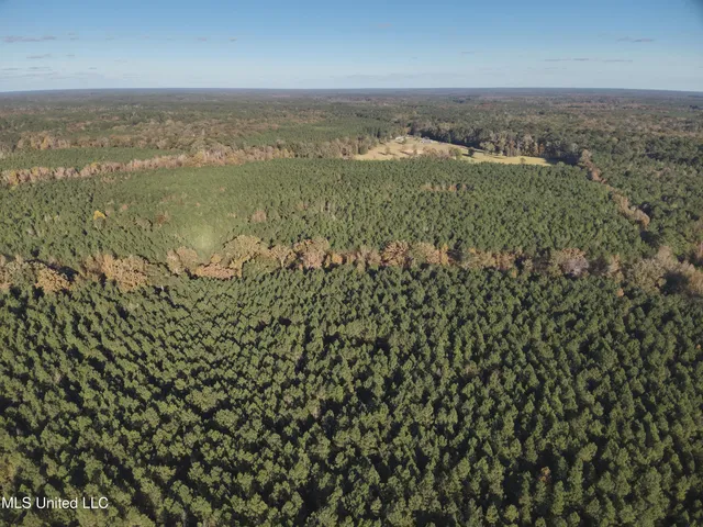 $1,472,500 | Whiddon Road, Canton, MS 39046