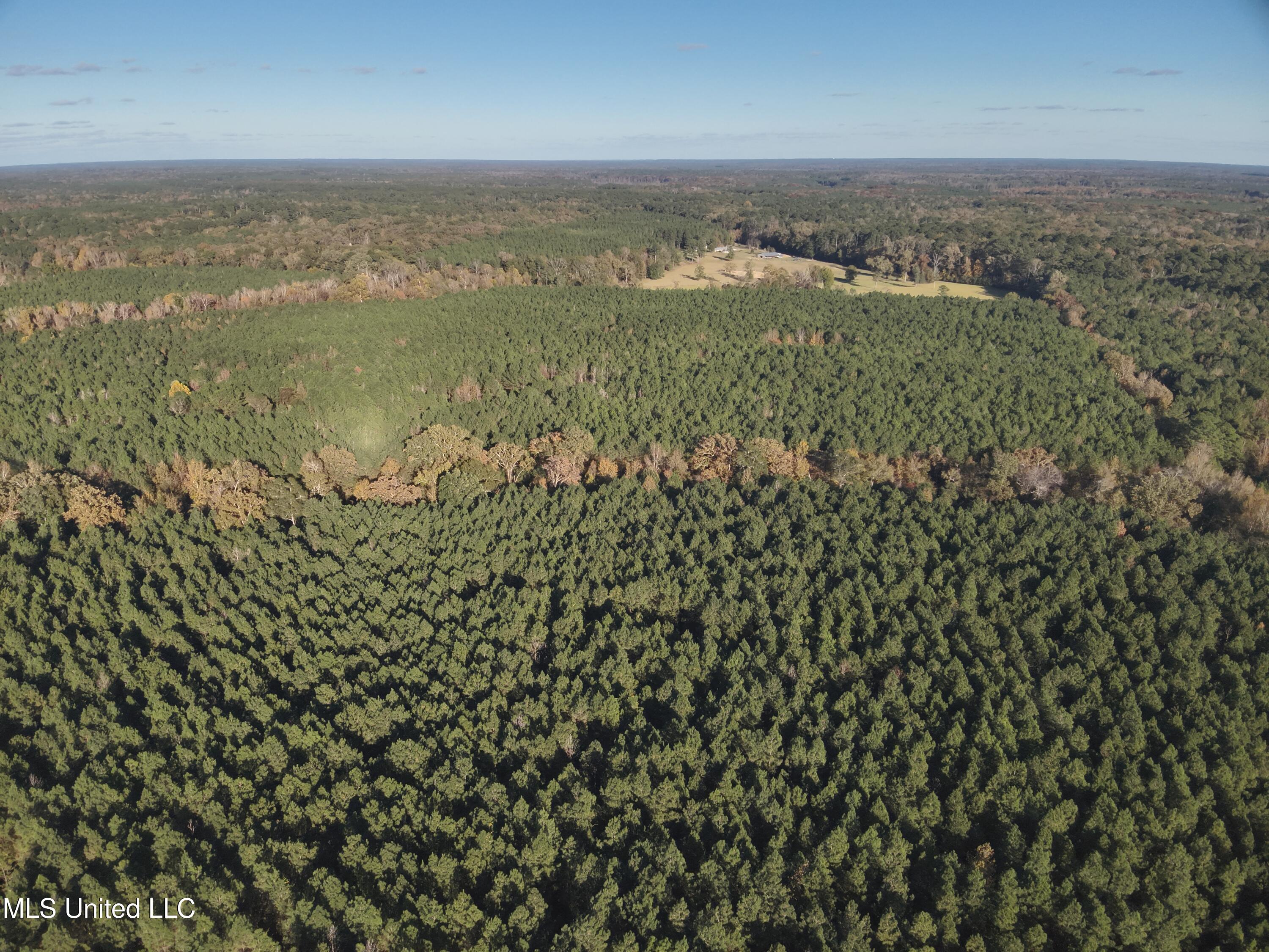 Whiddon Road Canton, MS 39046 - Photo 4 of 44 DJI_20251109153138_0019_V