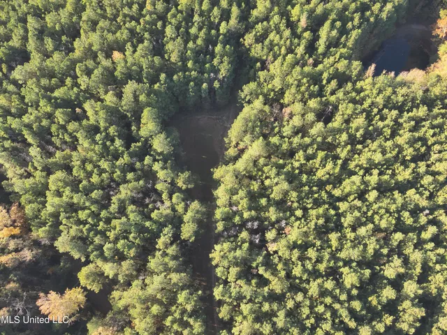 $1,472,500 | Whiddon Road, Canton, MS 39046