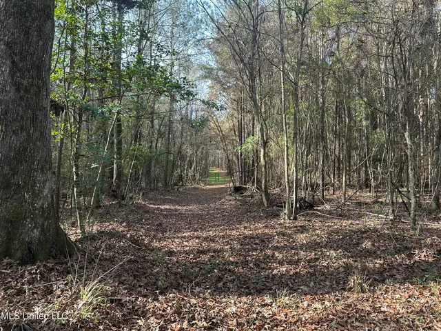 $1,472,500 | Whiddon Road, Canton, MS 39046