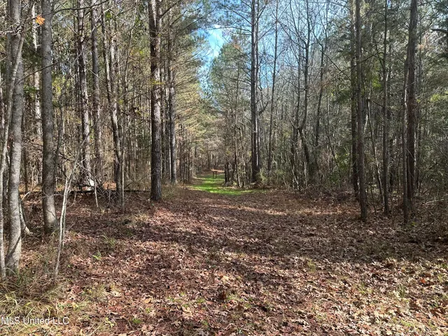 $1,472,500 | Whiddon Road, Canton, MS 39046