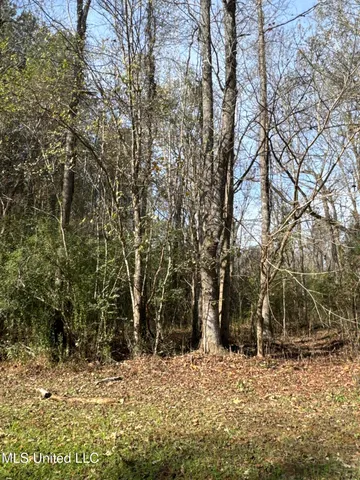 $1,472,500 | Whiddon Road, Canton, MS 39046