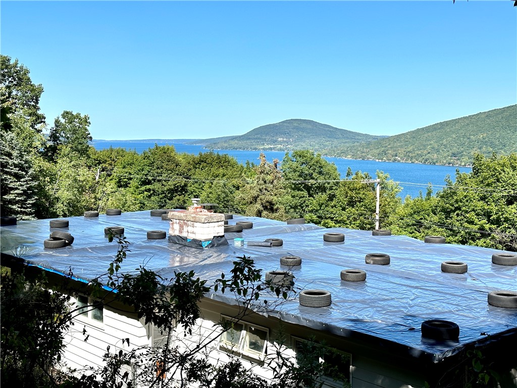 6786 State Rte 21 South Bristol, NY 14512 - Photo 2 of 32