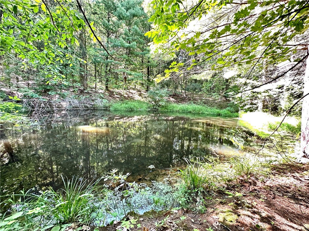 6786 State Rte 21 South Bristol, NY 14512 - Photo 28 of 32