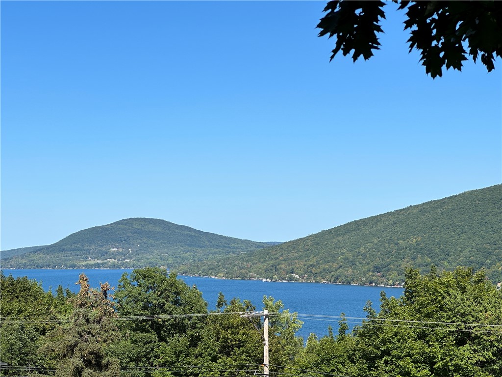 6786 State Rte 21 South Bristol, NY 14512 - Photo 5 of 32