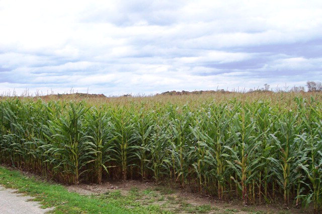 40-acres South Cloverleaf Road Sturgeon Bay, WI 54235 - Photo 1 of 1 Main View