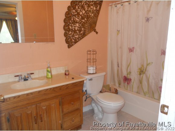 22429 Airbase Road Wagram, NC 28396 - Photo 13 of 19 Gallery Image 13