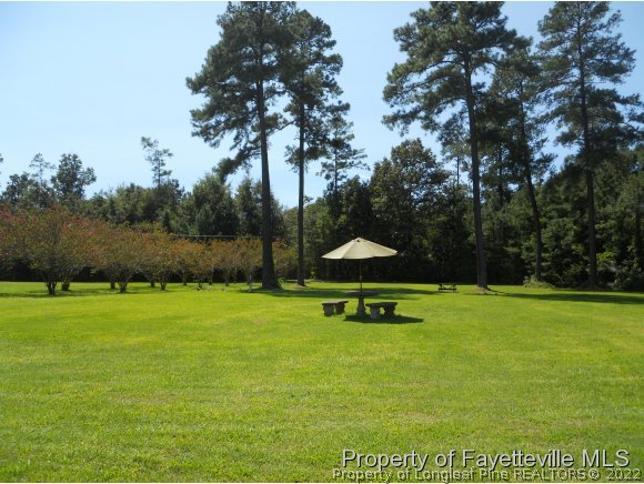22429 Airbase Road Wagram, NC 28396 - Photo 18 of 19 Gallery Image 18