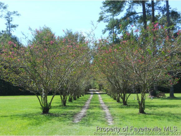 22429 Airbase Road Wagram, NC 28396 - Photo 3 of 19 Gallery Image 3