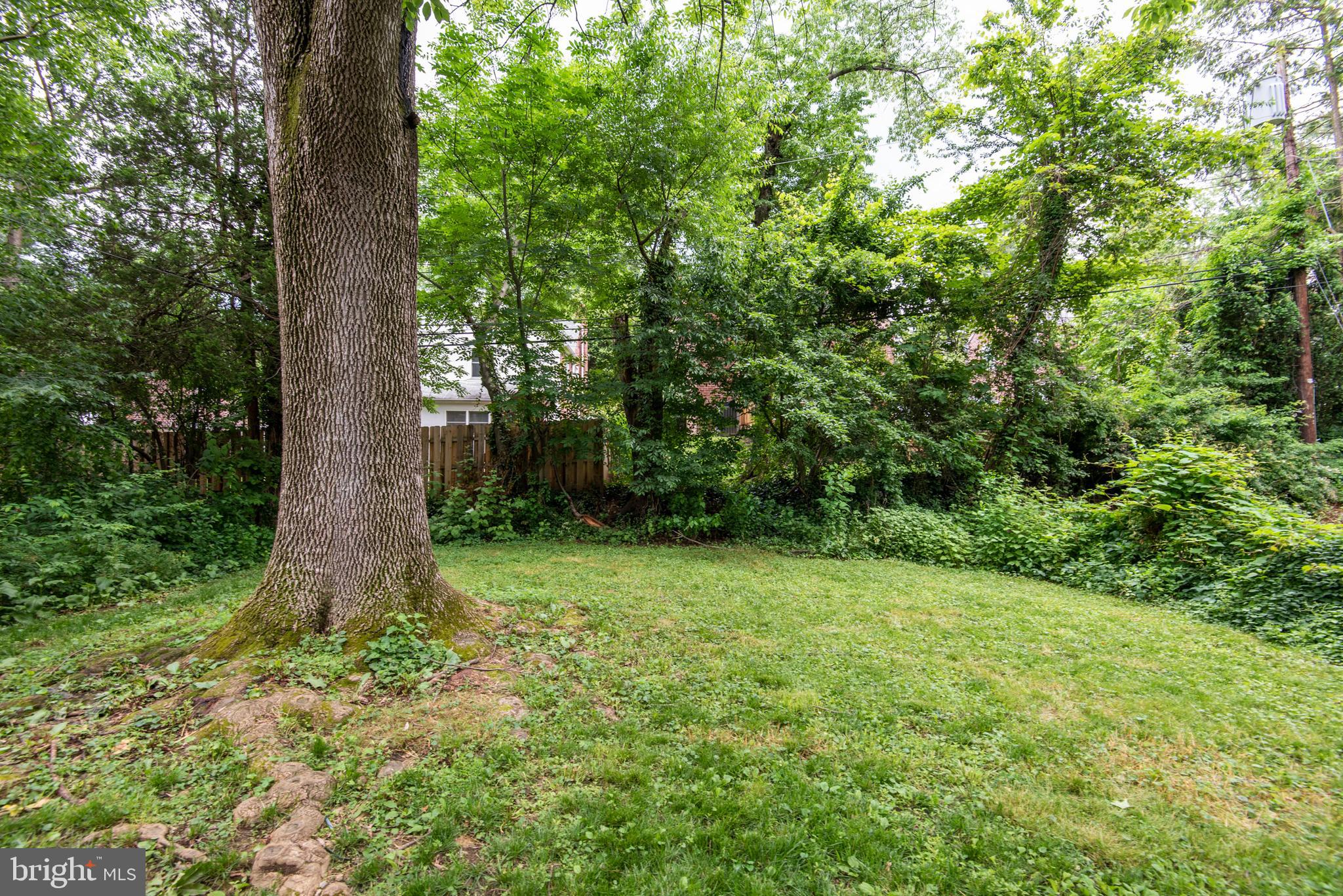 539 Hamilton Road Merion Station, PA 19066 - Photo 34 of 37 Yard