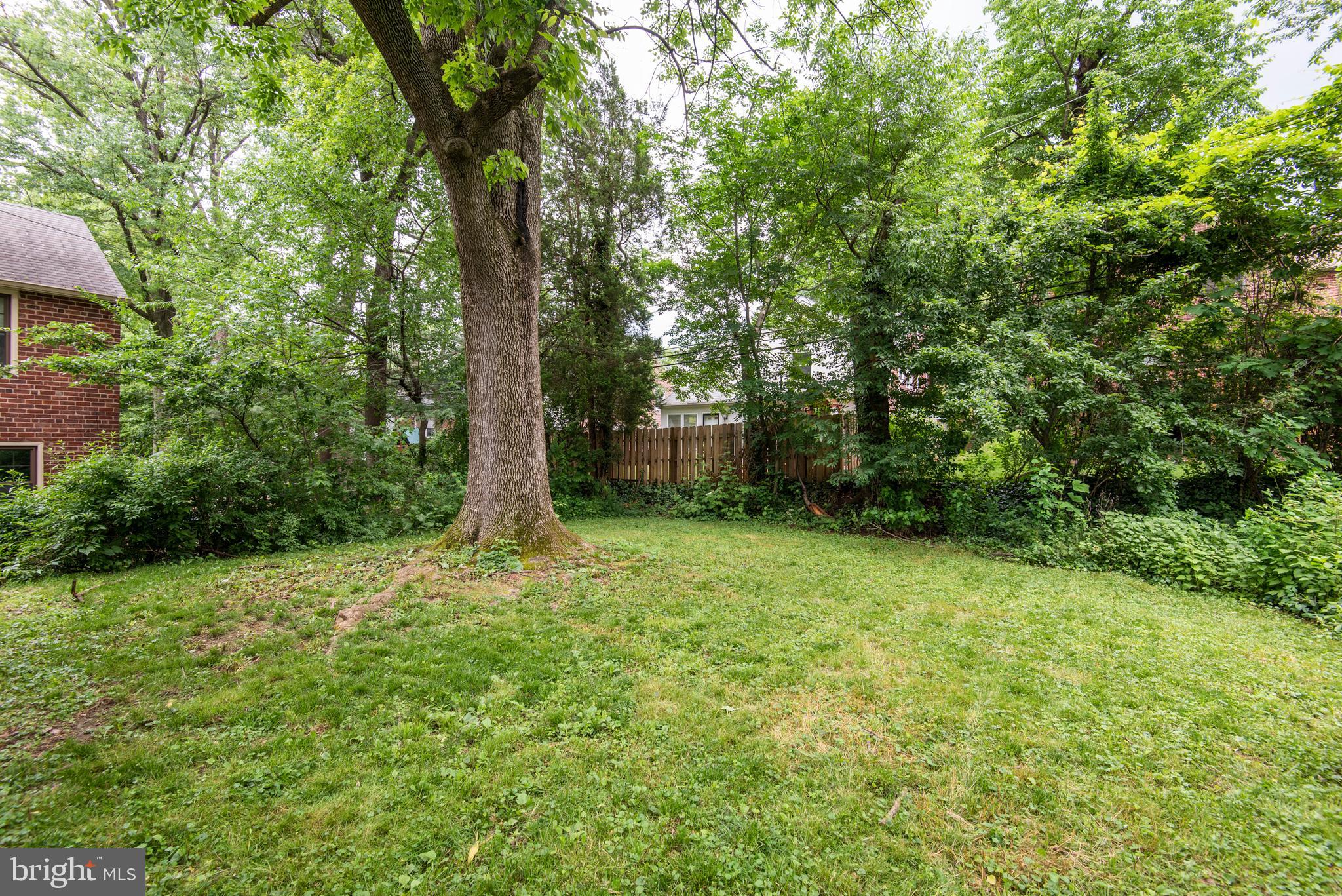539 Hamilton Road Merion Station, PA 19066 - Photo 35 of 37 Yard