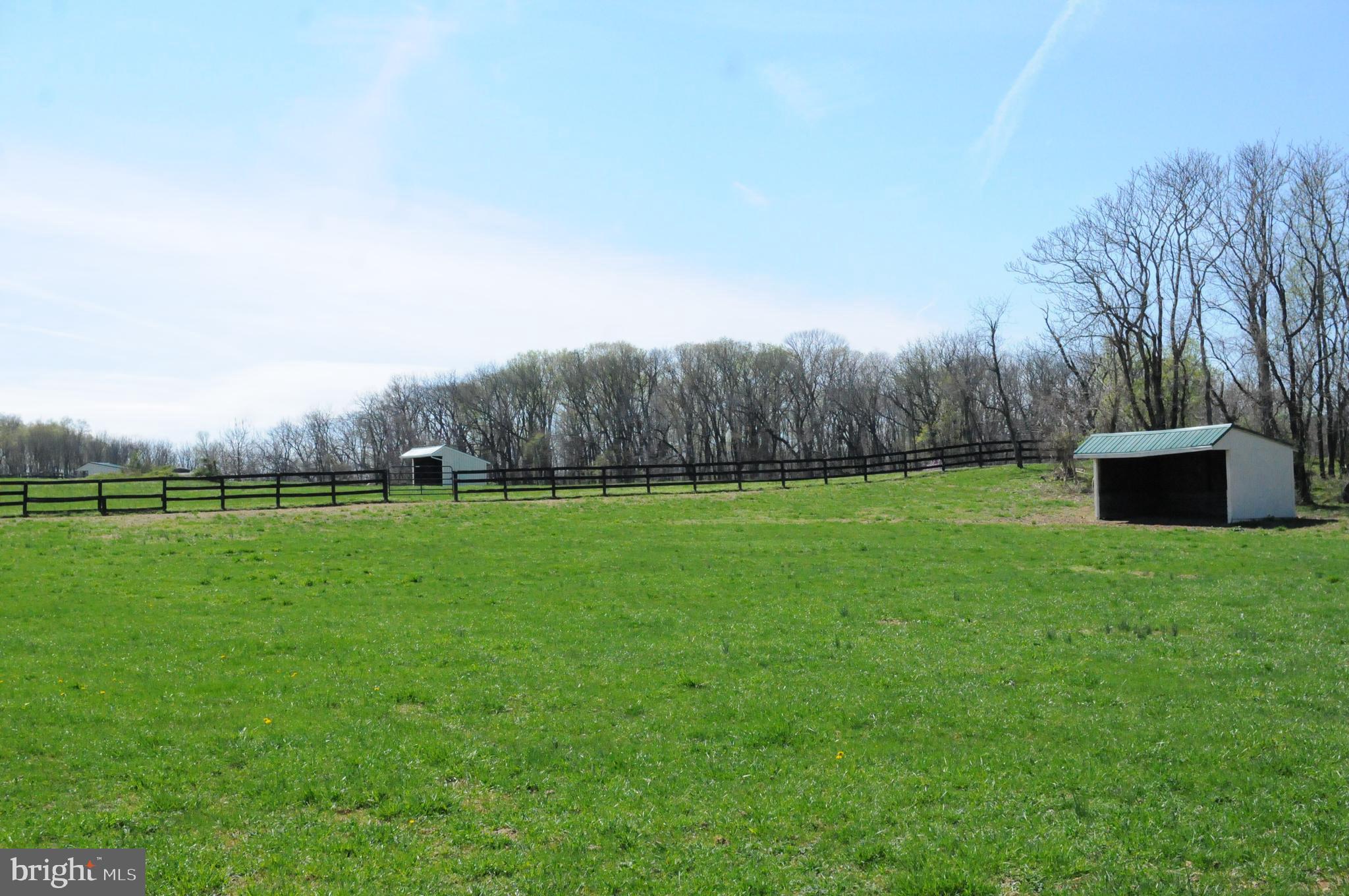 20597 Furr Road Bluemont, VA 20135 - Photo 50 of 75 All Pastures with Run-In Sheds