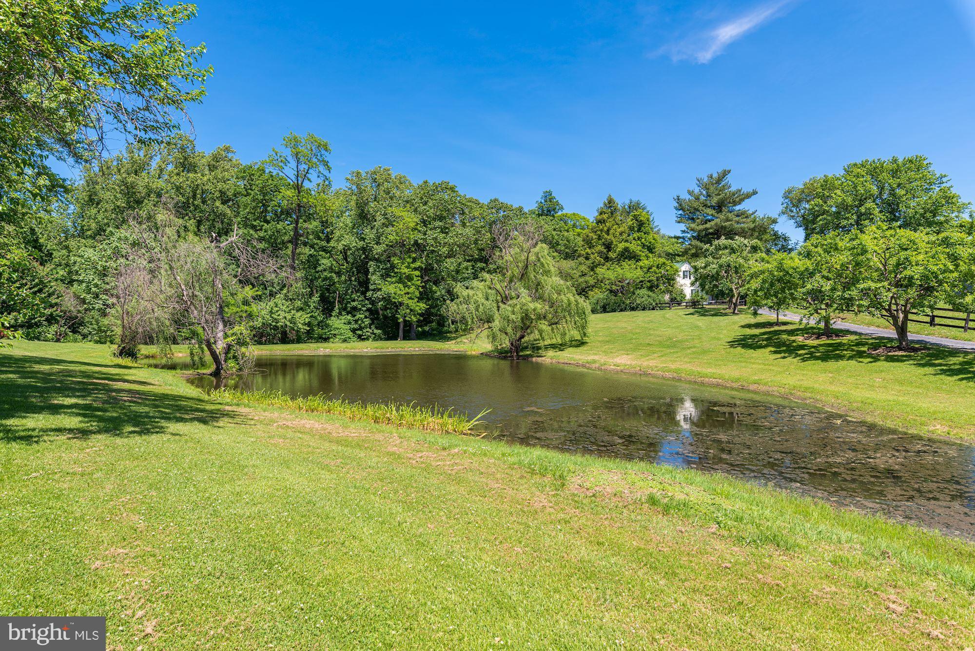 20597 Furr Road Bluemont, VA 20135 - Photo 8 of 75 One of Two Spring Fed Ponds