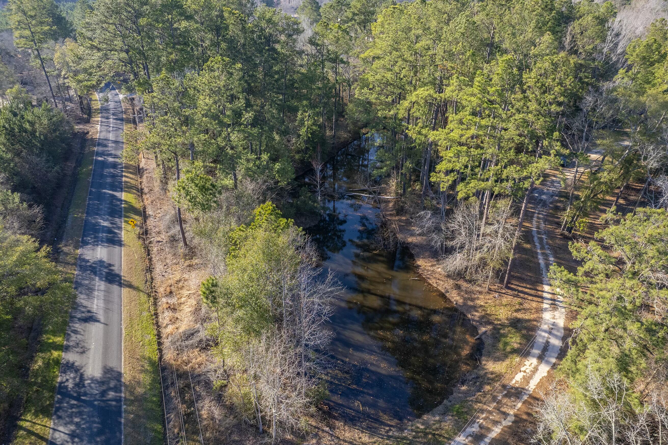 2953 Wolfe Creek Road Walterboro, SC 29488 - Photo 3 of 65 tempImage7HuY6N