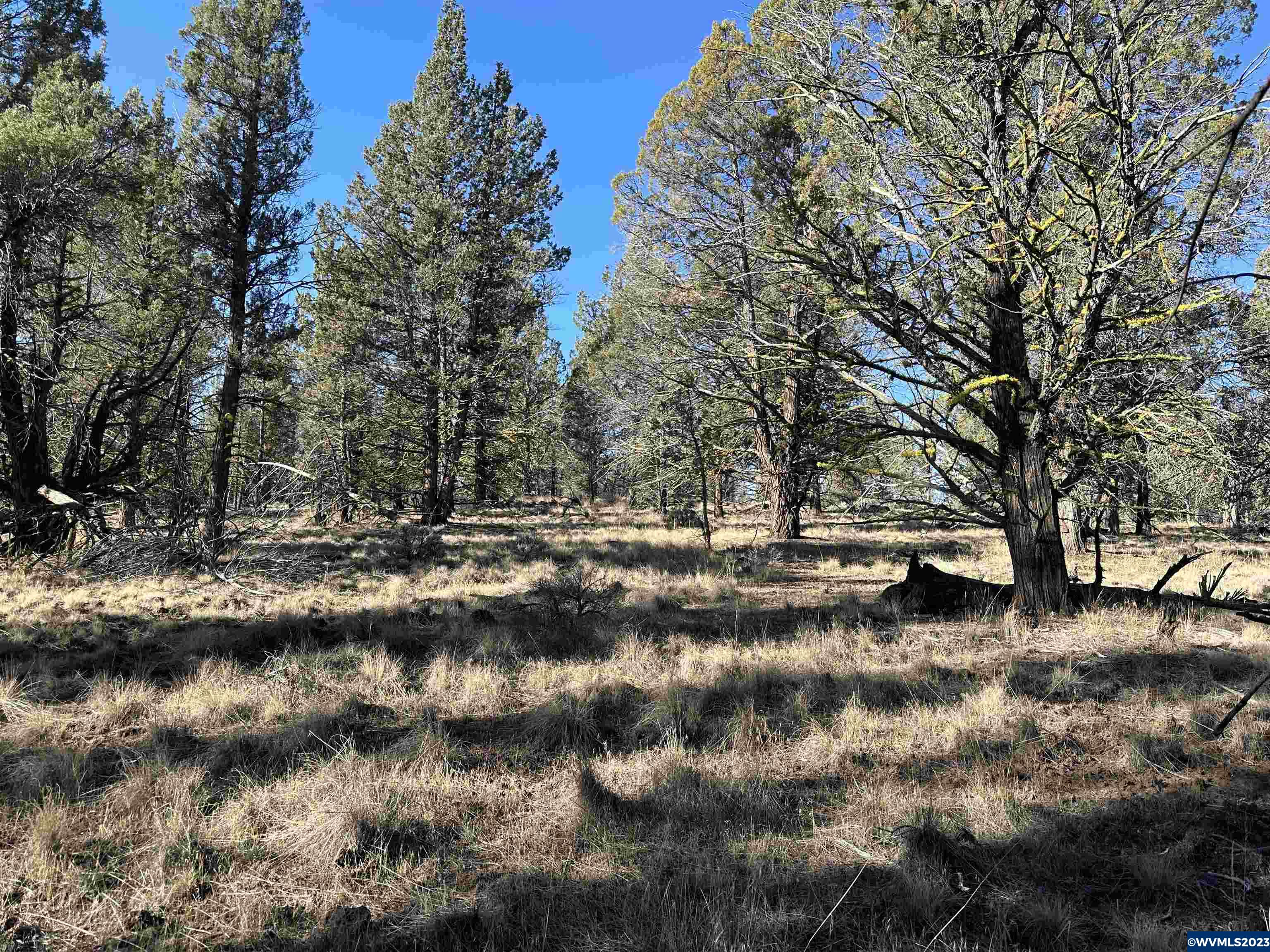 1300 Fishhole Creek Road Bly, OR 97622 - Photo 1 of 25