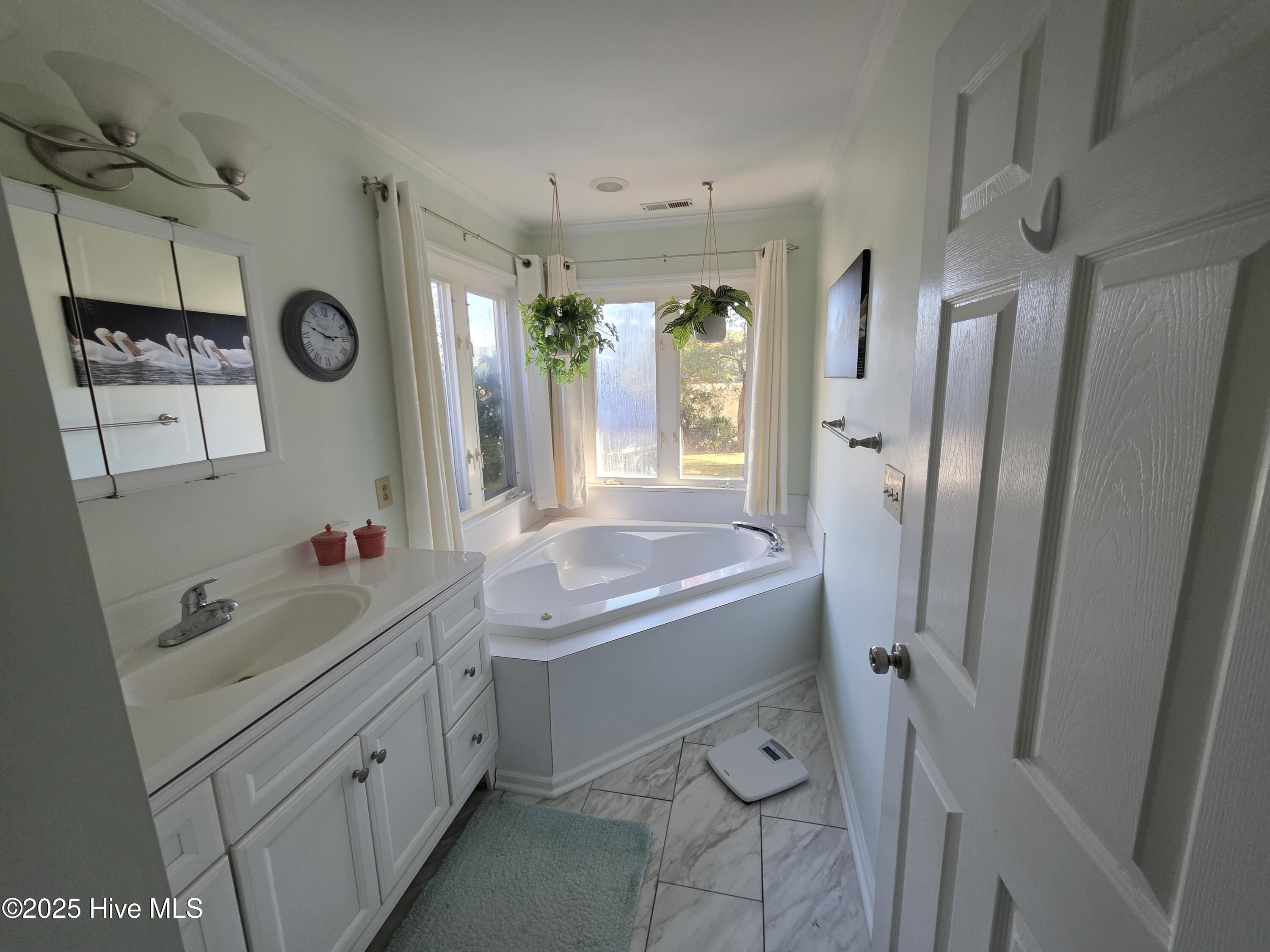 133 Cummins Creek Road Beaufort, NC 28516 - Photo 17 of 37 Master Bath (3)