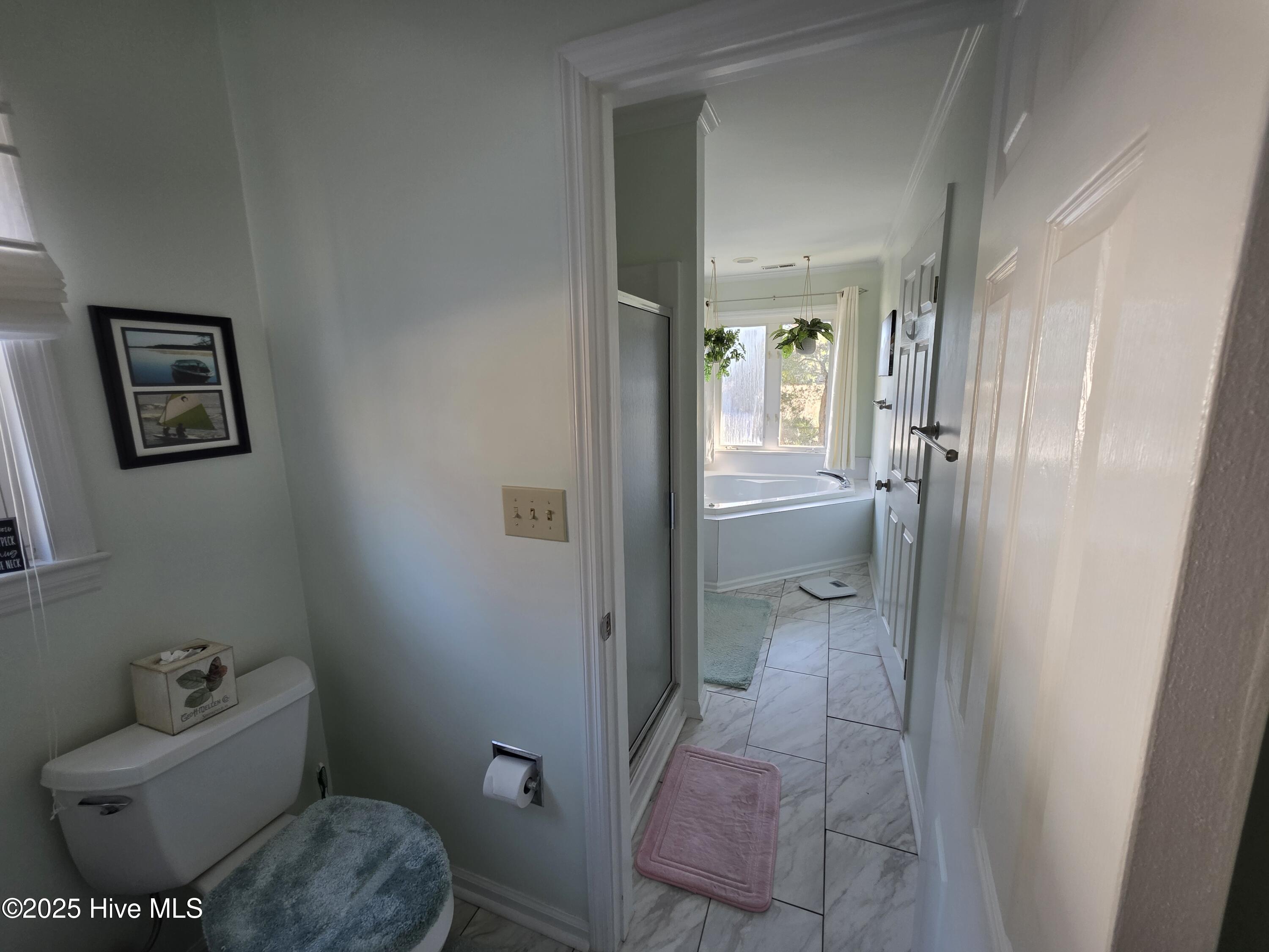 133 Cummins Creek Road Beaufort, NC 28516 - Photo 20 of 37 Master Bath (4)