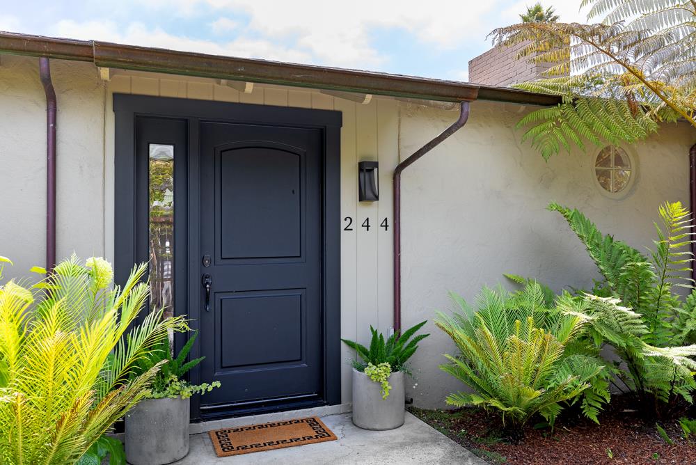 a plant is in front of a door