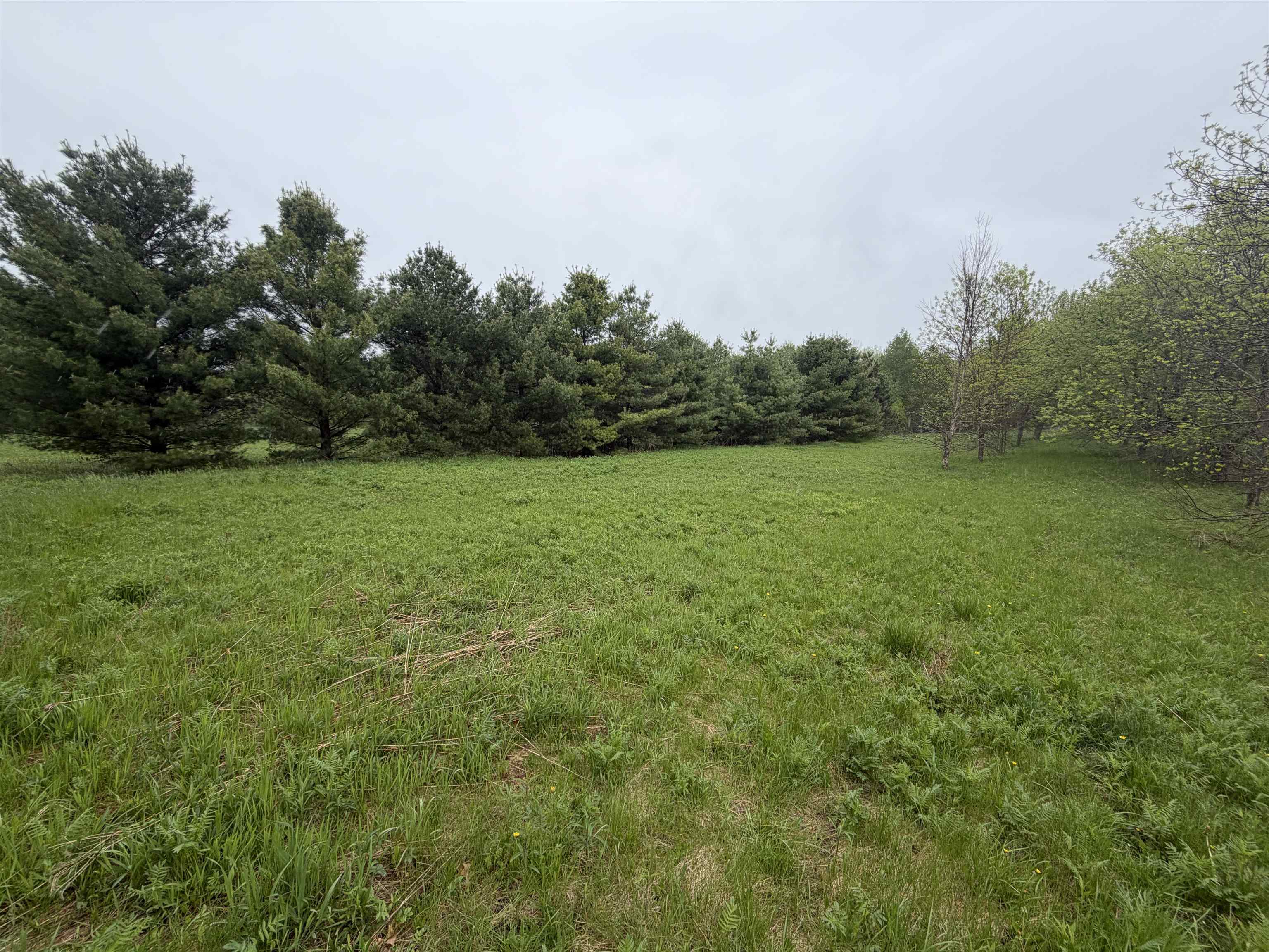 5755 350th Street Stanley, WI 54768 - Photo 3 of 16