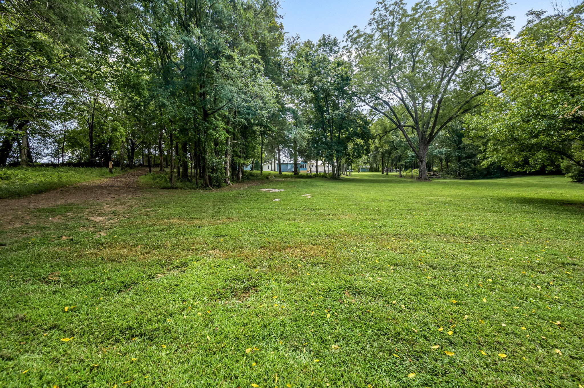158 Coop Road Bell Buckle, TN 37020 - Photo 19 of 47 Gallery Image 19
