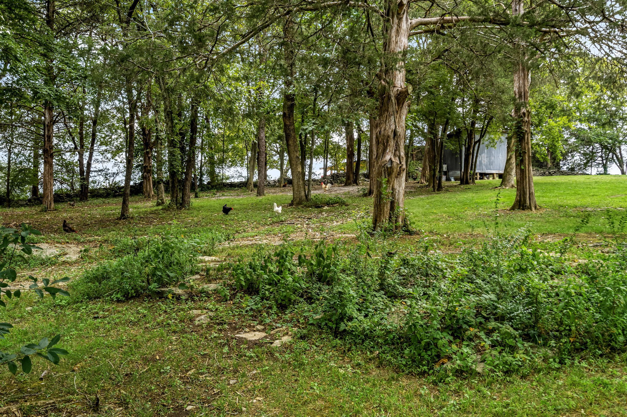 158 Coop Road Bell Buckle, TN 37020 - Photo 21 of 47 Gallery Image 21