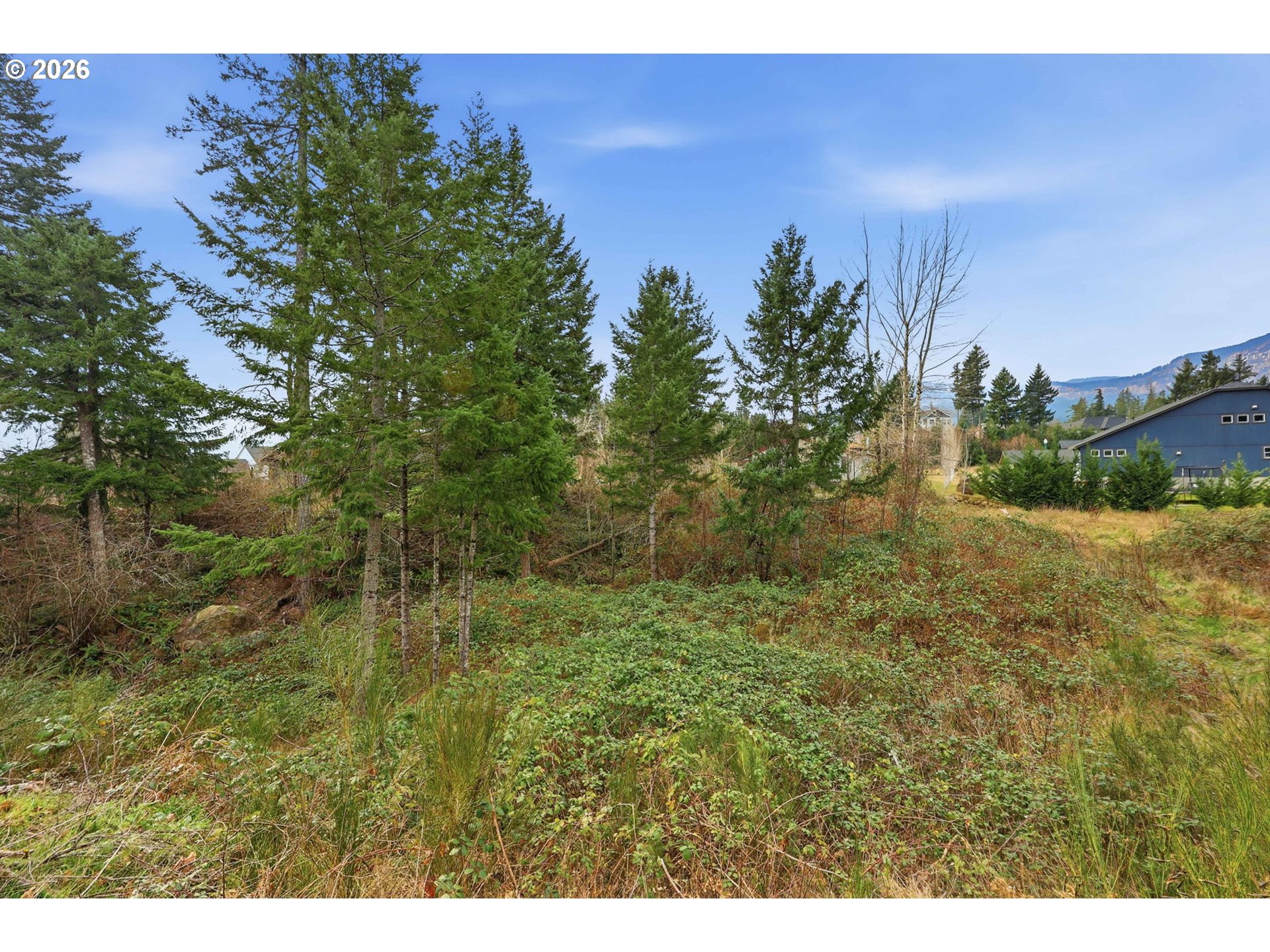 960 Northwest Angel Heights Road Stevenson, WA 98648 - Photo 7 of 29