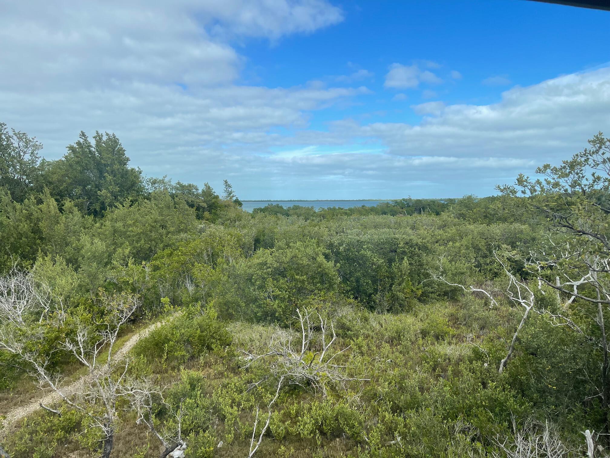 3127 Stewart Road Summerland Key, FL 33042 - Photo 56 of 64 Open Water!