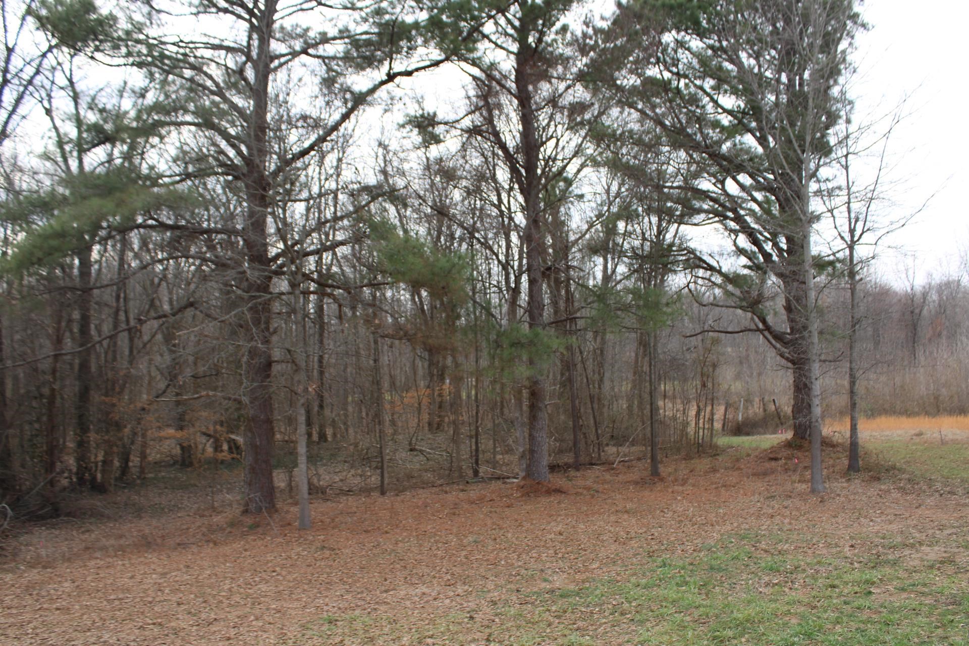 1535 Sand Ford Road Henning, TN 38041 - Photo 12 of 40 a backyard of a house with lots of green space