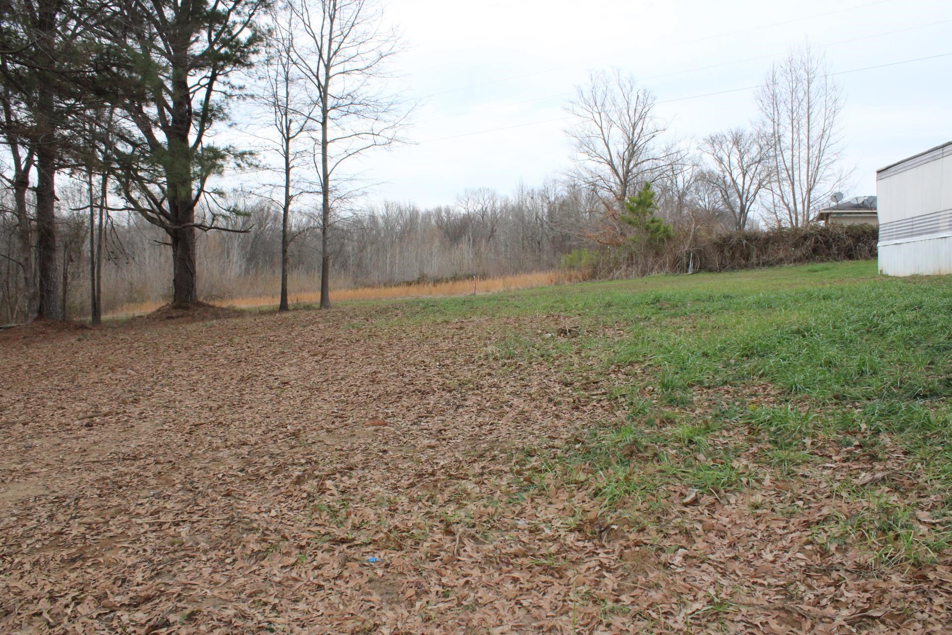 1535 Sand Ford Road Henning, TN 38041 - Photo 13 of 40