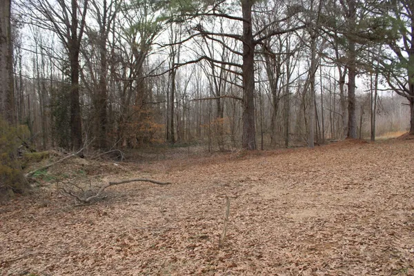a view of room with window and wooden floor