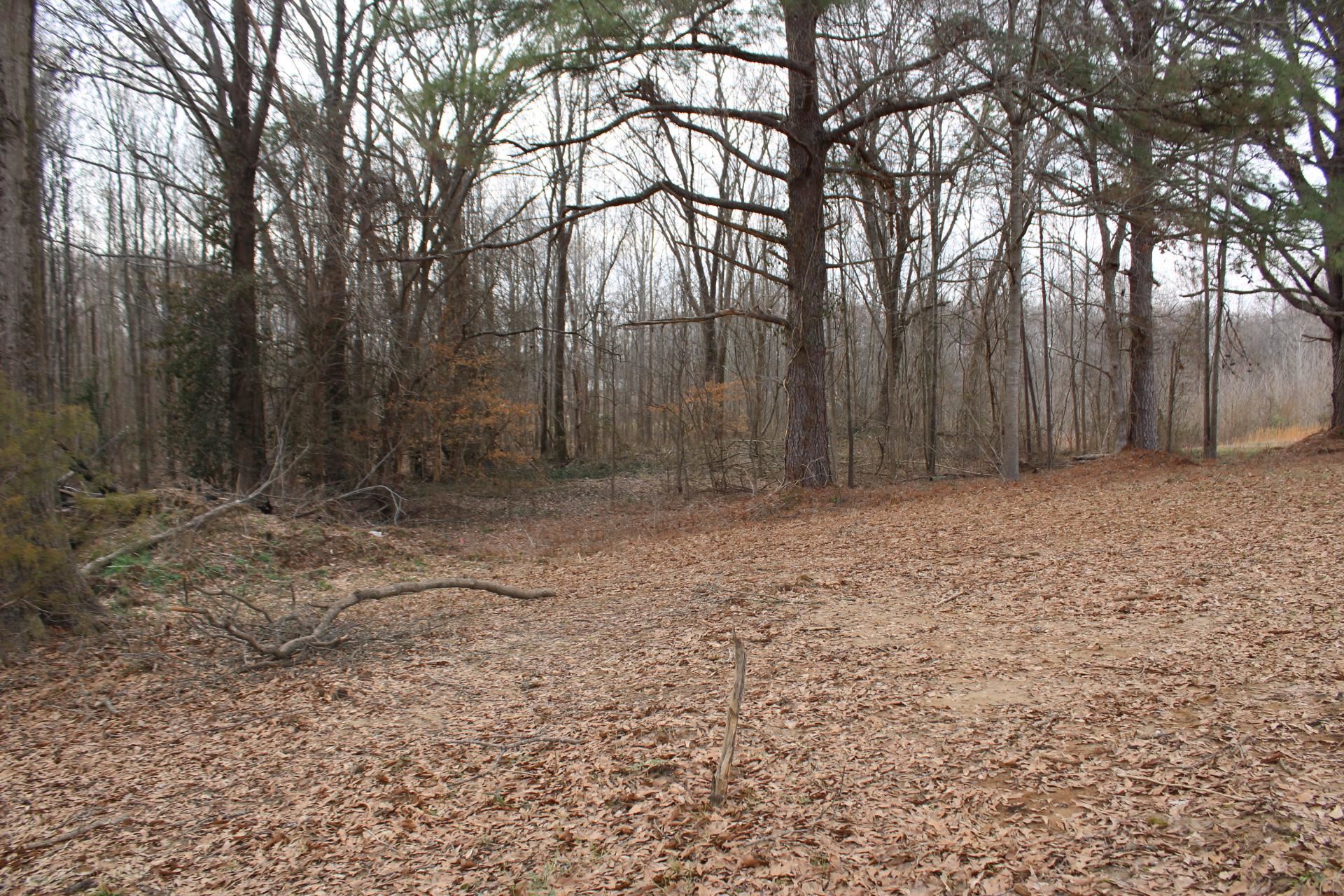 1535 Sand Ford Road Henning, TN 38041 - Photo 14 of 40