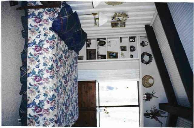 2355 Carson River Road Markleeville, CA 96120 - Photo 8 of 8