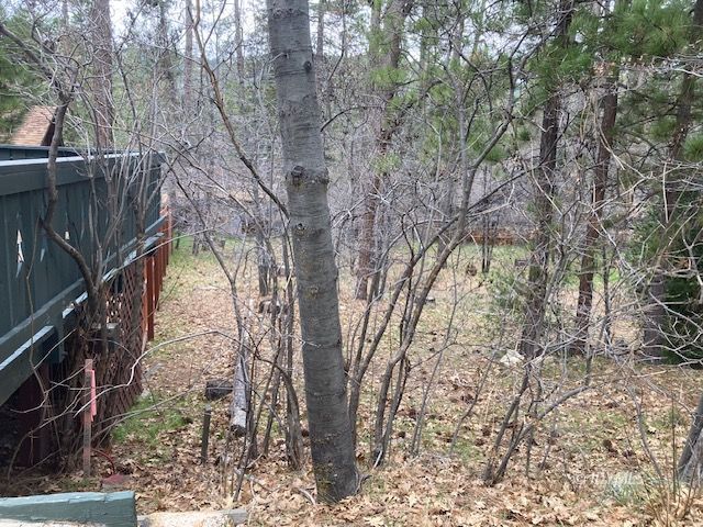 Country Club Idyllwild, CA 92549 - Photo 3 of 10 Untitled