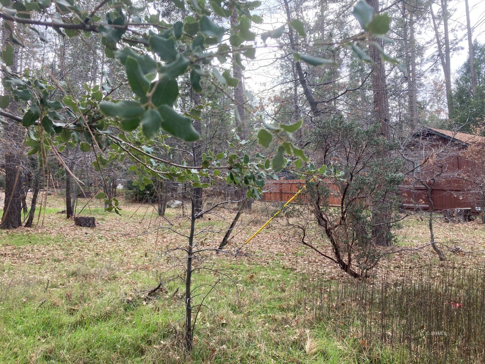 Country Club Idyllwild, CA 92549 - Photo 7 of 10 Untitled