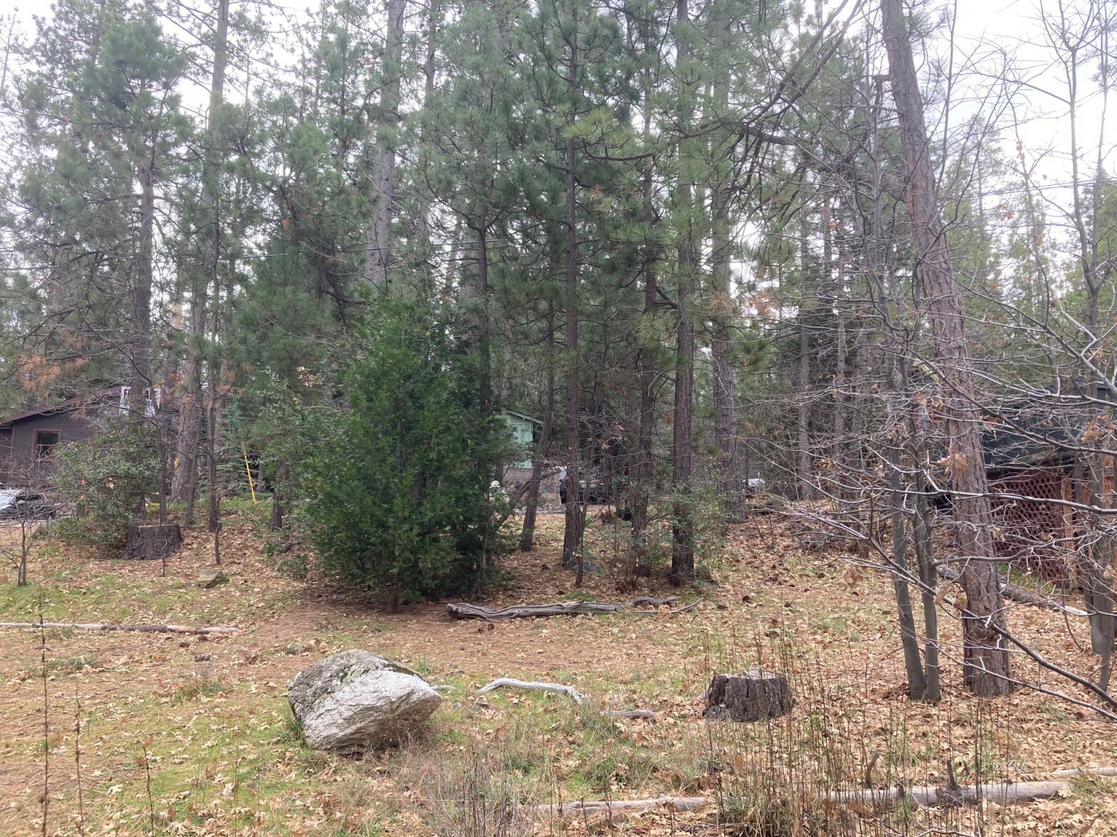 Country Club Idyllwild, CA 92549 - Photo 10 of 10 Untitled